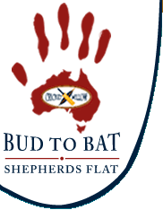 Cricket Willow Cricket Willow